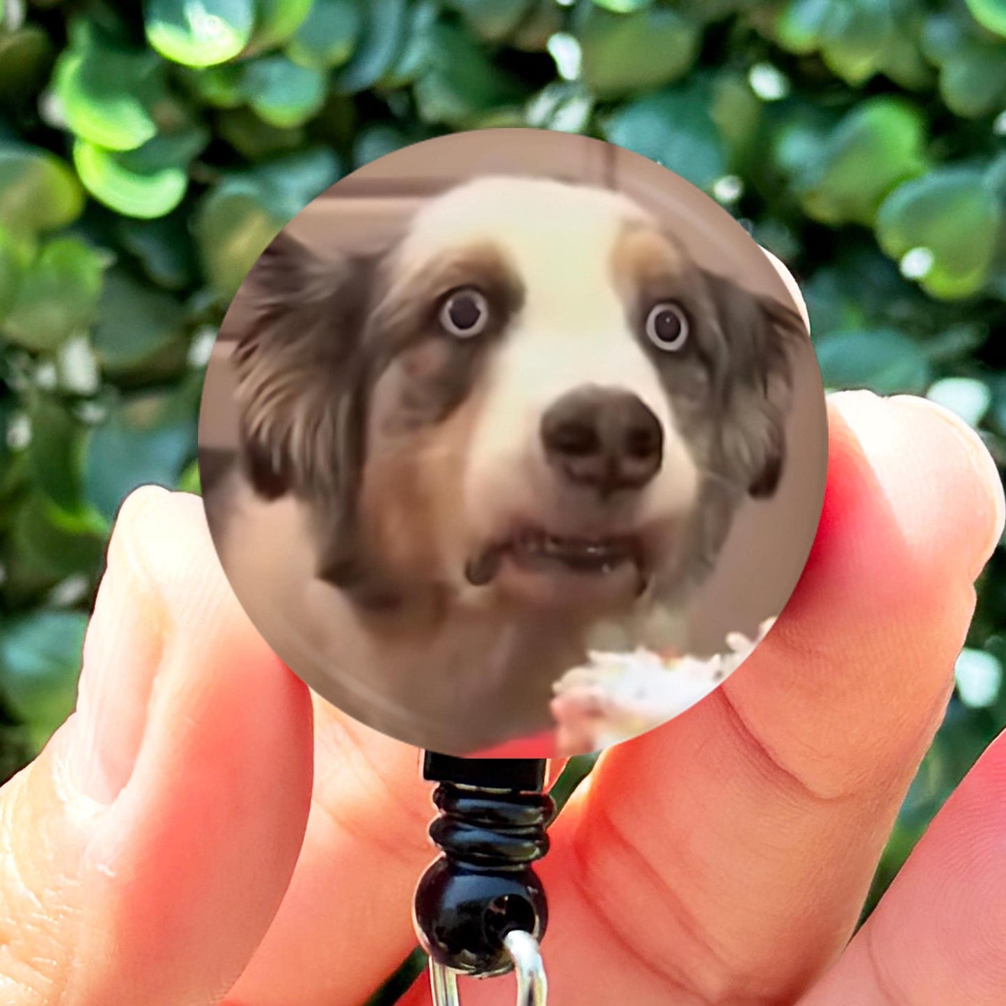 Viral Cupcake Dog Dramatic Meme  Nurse Badge Reel Funny  Badge Reel Holder  Nurse Gift  Nurse ID